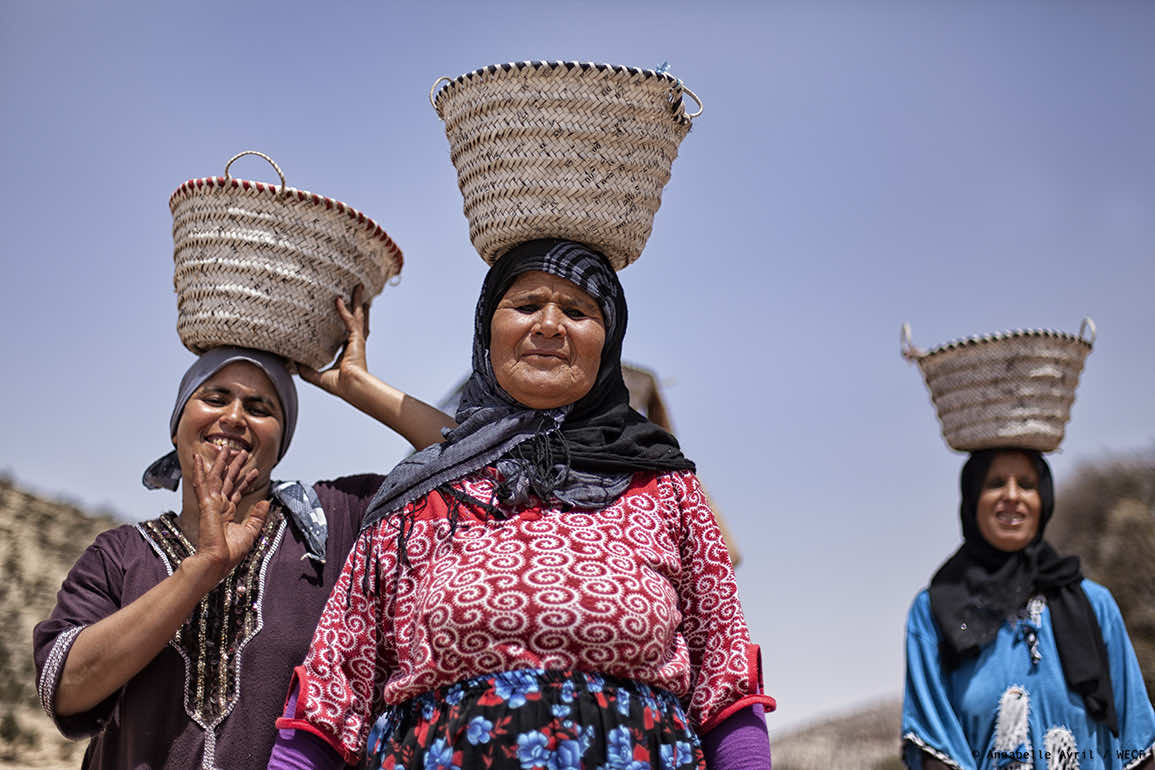 النساء يشكلن ثلث الأجراء في المدن لكنهن يعانين من البطالة طويلة الأمد أكثر من الرجال حسب مندوبية التخطيط