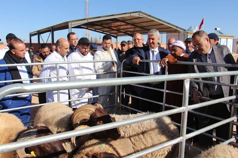 المعارضة في مجلس النواب تجر وزير الفلاحة للمسائلة البرلمانية على خلفية التدبير الحكومي لعيد الأضحى