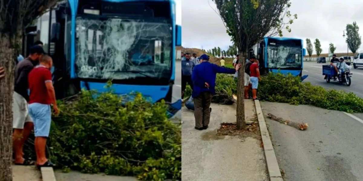 اصطدام حافلة للنقل الحضري في طنجة كاد أن يتسبب في كارثة