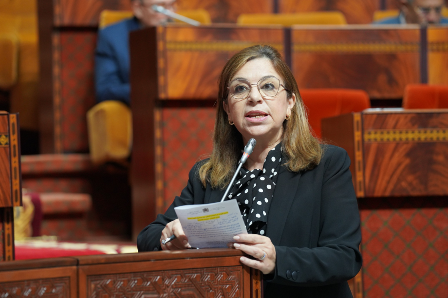 تخصيص 160 مليون درهم لفائدة 1082 مؤسسة للرعاية الاجتماعية العام الماضي (وزيرة)