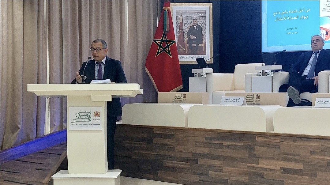 المجلس الاقتصادي والاجتماعي يدعو لتوضيح مسؤولية شركات التكنولوجيا بخصوص انتهاك حقوق الطفل