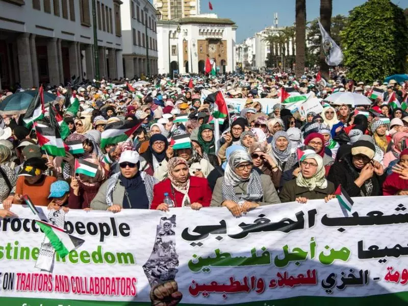 أساتذة جامعيون يطلقون مشروعا لتشجيع الأبحاث حول القضية الفلسطينية ومحاربة التطبيع