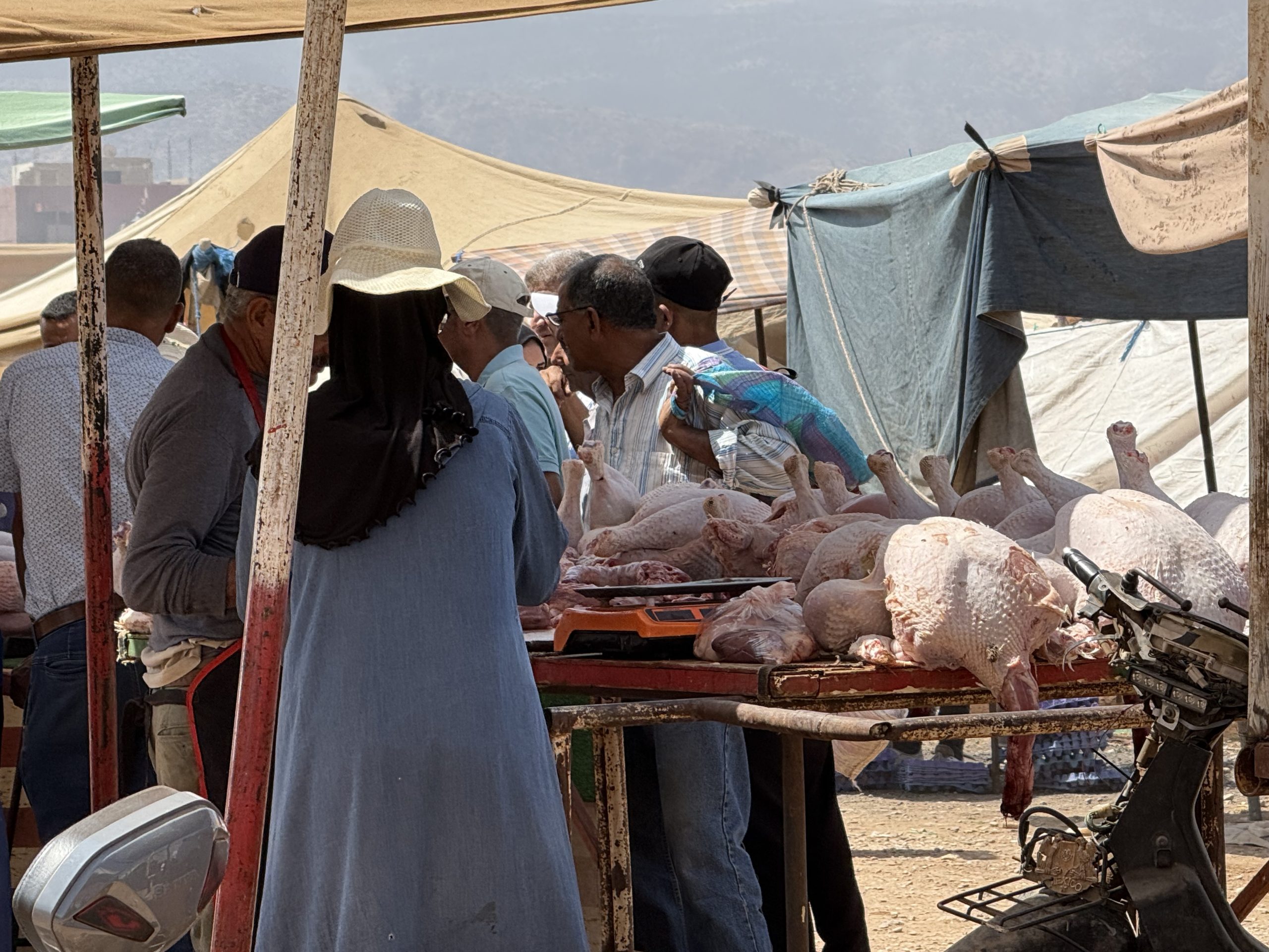 بعد قرار إلغاء عيد الأضحى... إقبال كثيف على "بيبي" بسوق أولاد موسى وارتفاع في الأسعار بـ30 درهماً للكيلوغرام