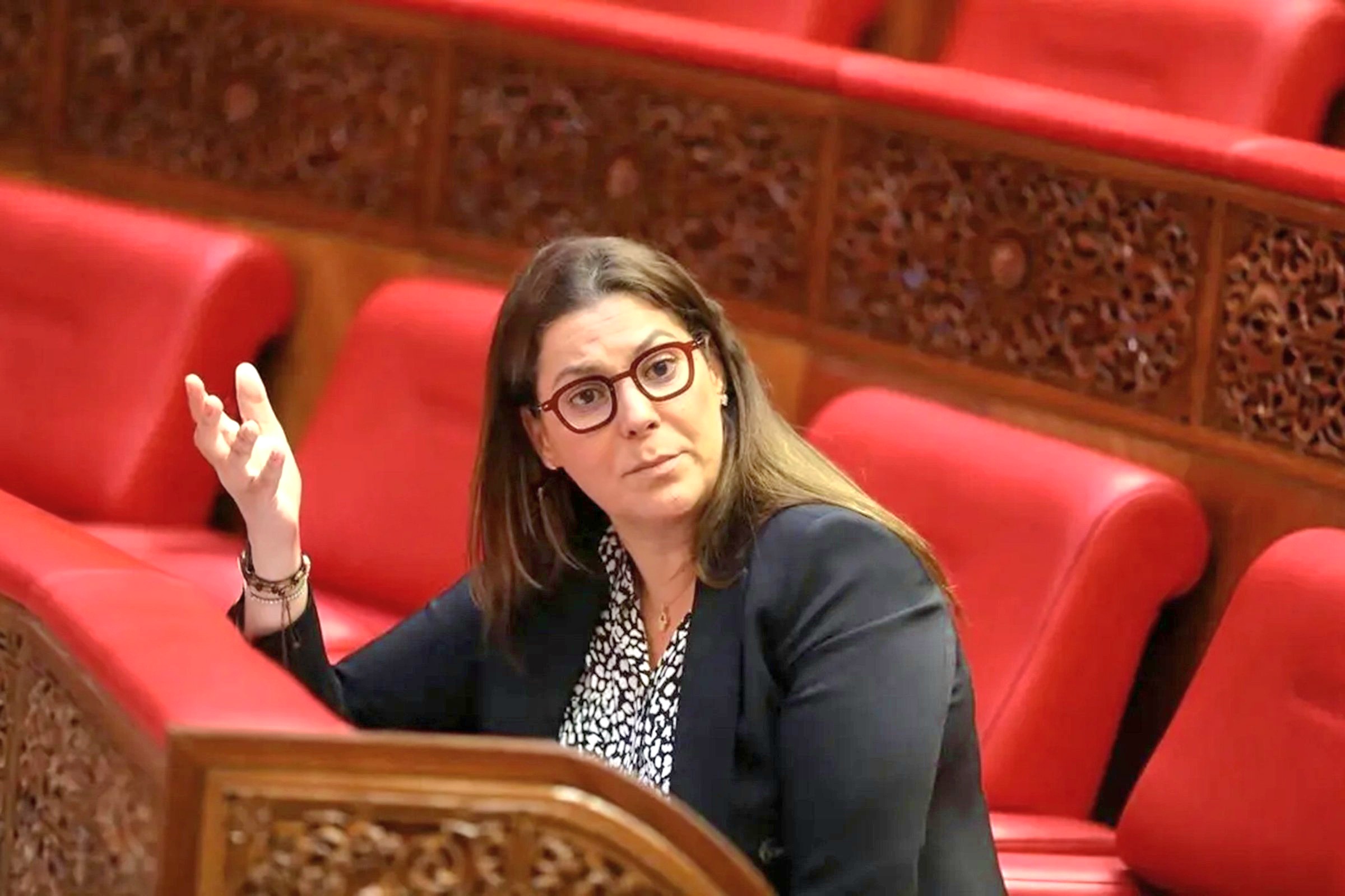 المنصوري ردا على حملة "التسريبات"... الأراضي موضوع الجدل ليست أملاك الدولة أو الجماعة بل هي أملاك العائلة