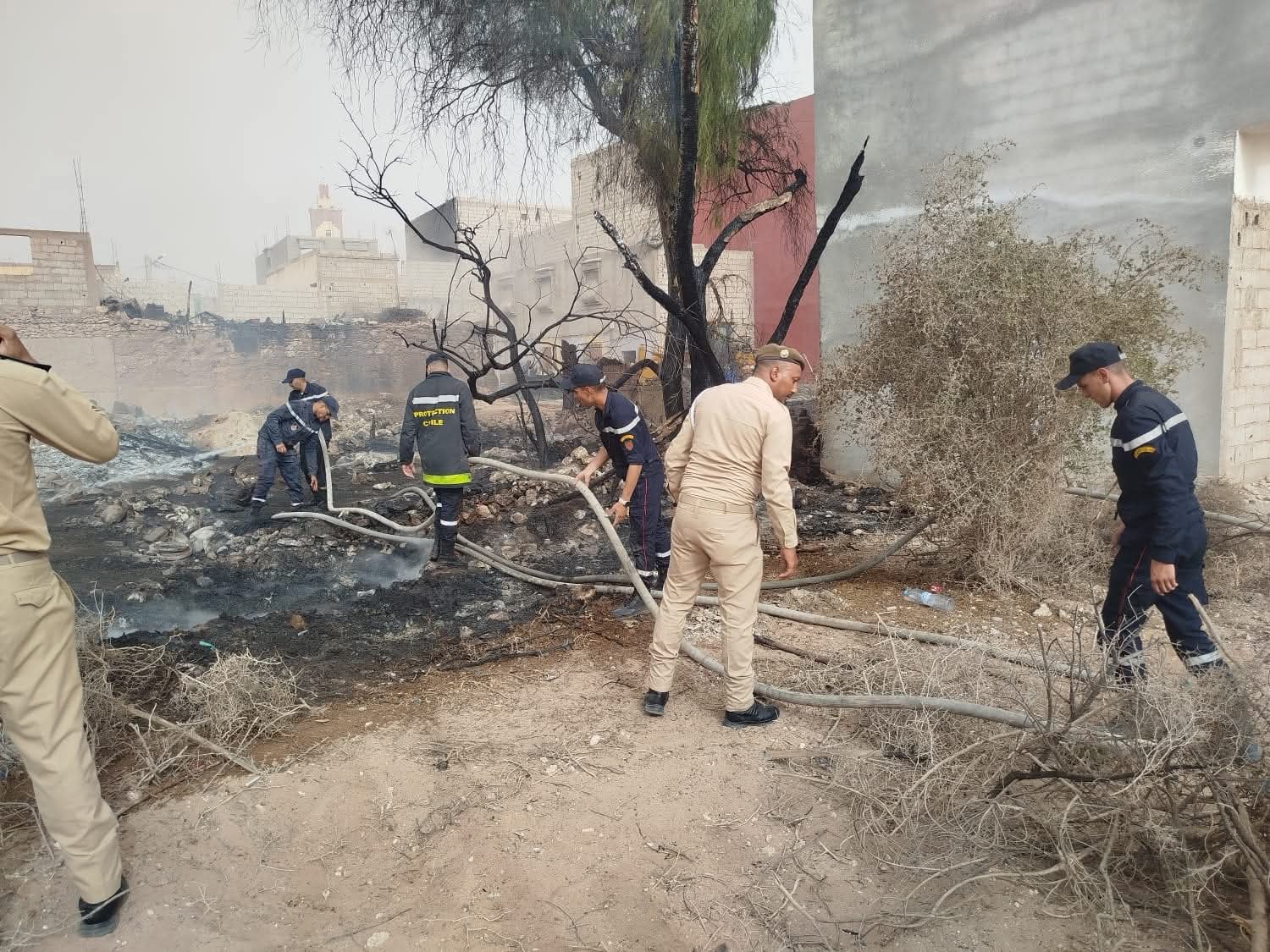 حريق في حظيرة ماشية ببيوكرى يتسبب في نفوق حوالي 20 رأسا من الغنم