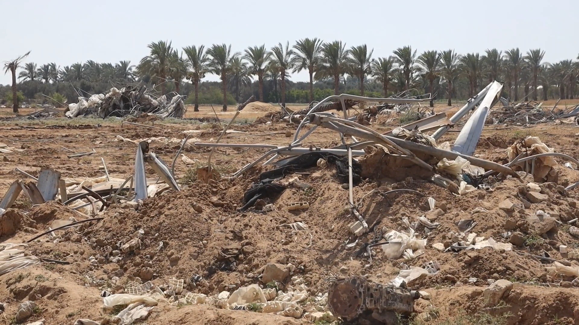 الفاو: 98.5% من الأراضي الزراعية في غزة أصبحت غير قابلة للزراعة