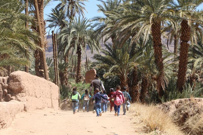 اطلاق مشاورات موسعة حول برامج التنمية المجالية مع إعطاء الأولوية لإحداث مناصب الشغل للشباب (المجلس الوزاري)