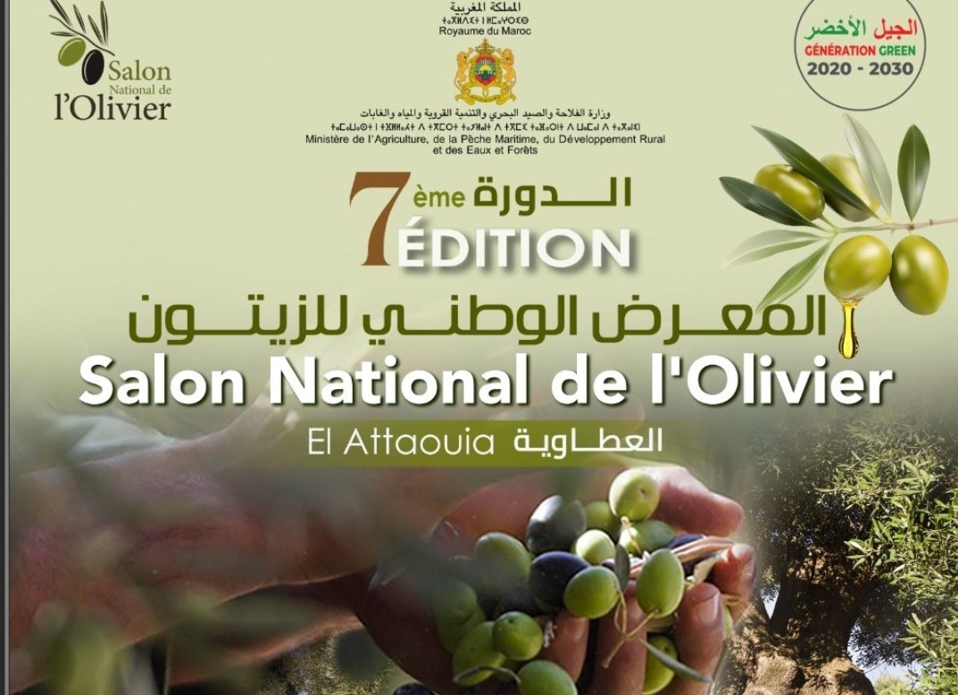 العطاوية تحتضن الدورة السابعة للمعرض الوطني للزيتون بمشاركة مكتب الاستشارة الفلاحية