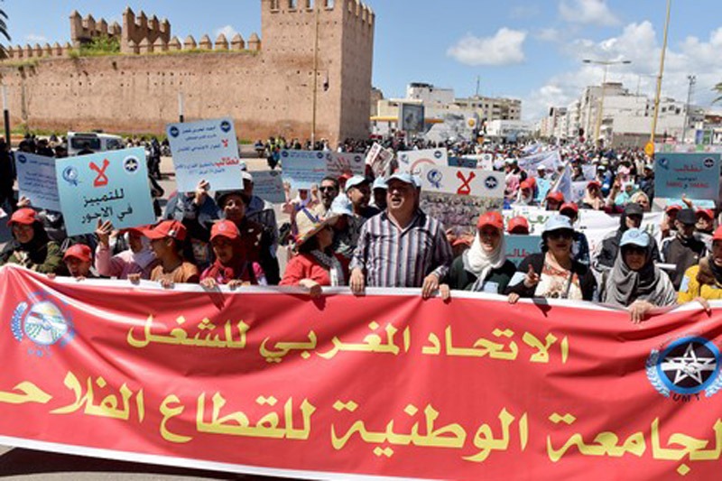 من الأجور إلى السكن والحريات.. نقابة UMT تكشف تفاصيل "الحوار الاجتماعي" مع وزير الفلاحة
