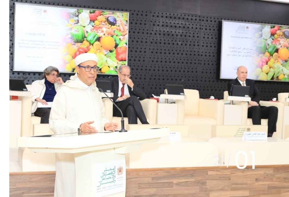 المجلس الاقتصادي والاجتماعي والبيئي يقدم توصياته حول النقل القروي الدامج والمستدام