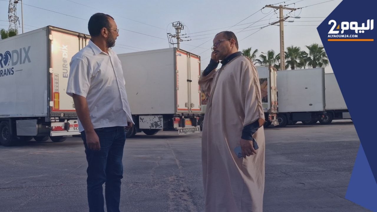 "منع مفاجئ" لتصدير الطماطم نحو إفريقيا يغضب مهنيين في القطاع (فيديو)