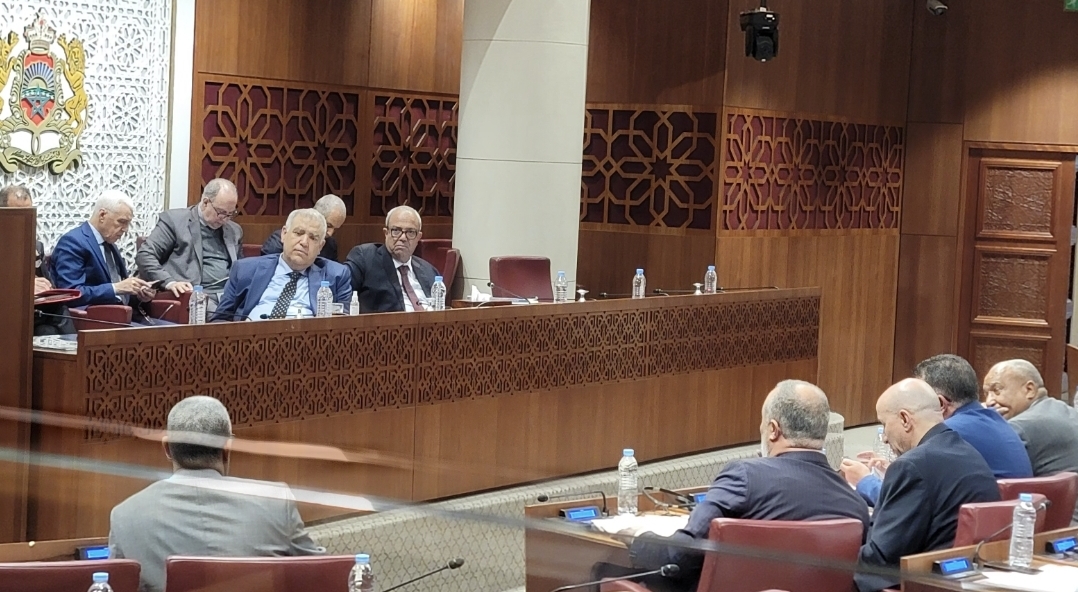 لفتيت: مشروع قانون الجهات يستهدف اعتماد منطق مقاولاتي في تدبير مشاريع الجهات