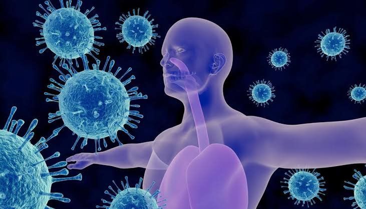 دراسة تكشف تغيرات مبكرة في خلايا المناعة مع التقدم في العمر – اليوم 24
