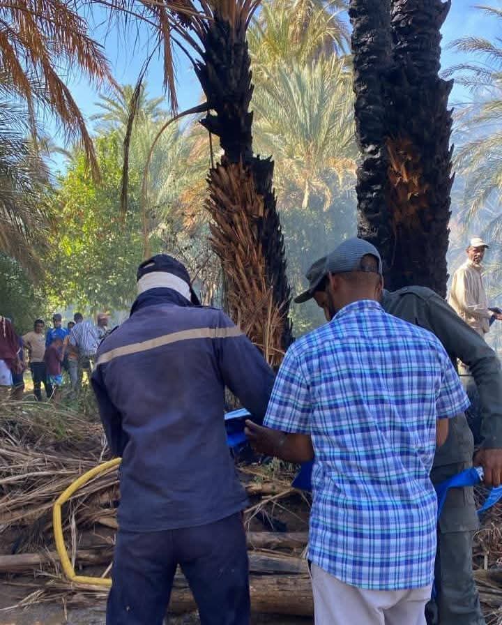السلطات تتمكن من إخماد حريق واحة "أكرض" بتمنارت بإقليم طاطا