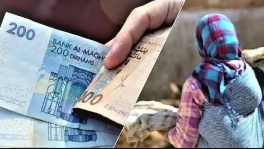 دراسة لوكالة الدعم الاجتماعي: الأسر الناشئة تتصدر المستفيدين من الدعم المباشر بأكثر من 1.2 مليون أسرة
