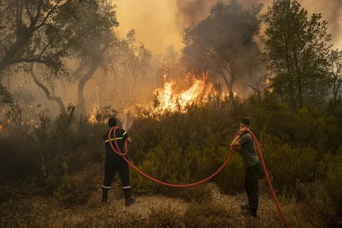 خبراء يوضحون مدى جاهزية المغرب في مواجهة حرائق الغابات خلال الصيف