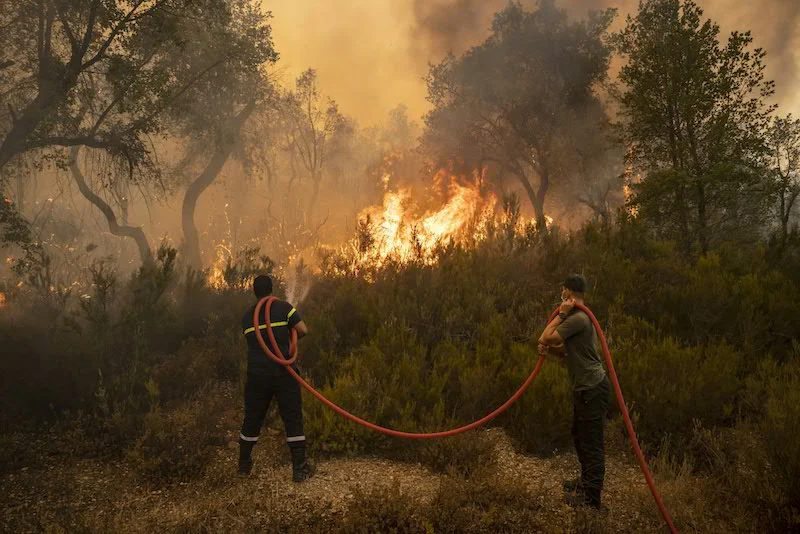 خبراء يوضحون مدى جاهزية المغرب في مواجهة حرائق الغابات خلال الصيف
