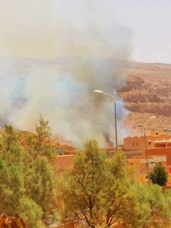 حرائق جديدة تفاقم معاناة واحة دوار « أكرض » بتمنارت نواحي طاطا