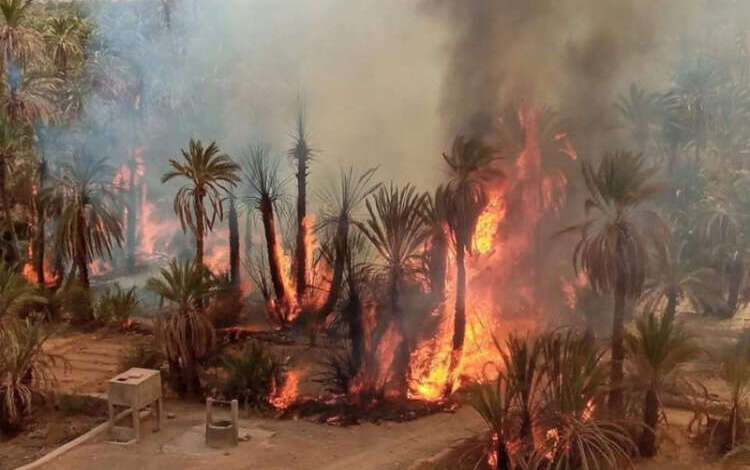 تقرير: حرائق الجزائر وتونس والمغرب جرس إنذار لكارثة مناخية في شمال إفريقيا
