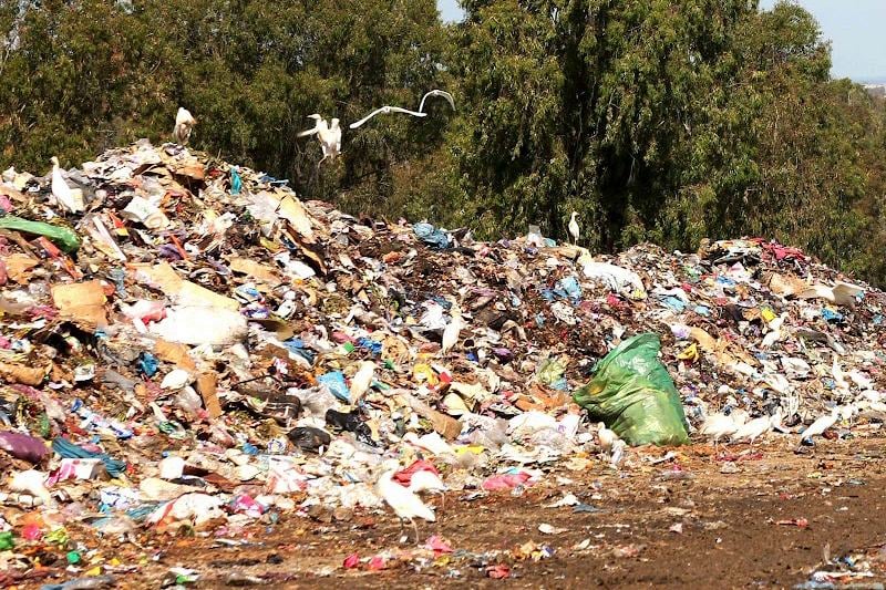 القنيطرة... رئيس جمعية بيئية يطالب بإغلاق مطرح النفايات وإحداث بديل خارج المجال السكاني