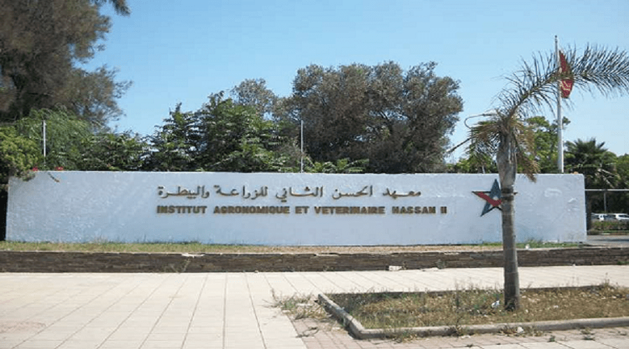 أطباء بياطرة أساتذة باحثون يطالبون وزارة المالية بالإفراج عن ملف تسوية وضعيتهم النظامية