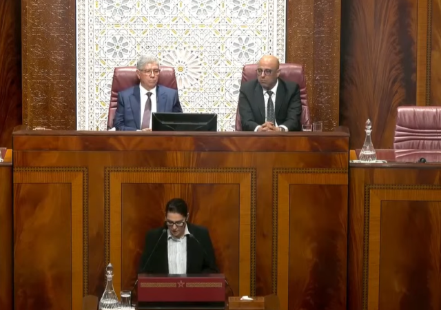 بعد سحبه سنة 2021.. المنصوري تتعهد أمام البرلمان بتجريم الإثراء غير المشروع ومعاقبة تضارب المصالح – اليوم 24