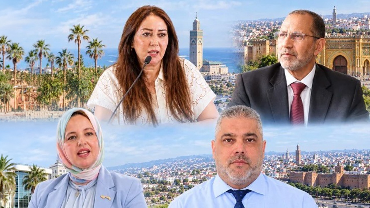 باحثة في القانون الدستوري: الجمع بين رئاسة جماعة كبرى والعضوية البرلمانية قد يرفع احتمال تنازع المصالح