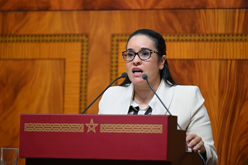 فيطح تستند إلى الفصل 87 من الدستور لتبرير إيداع قانون المالية قبل التنصيب
